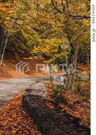 Rural road in autumn, travel concept, road in mountains lined with yellow and orange trees 94374434