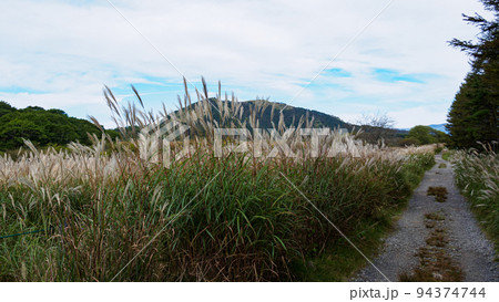 八島湿原の草紅葉 八島湿原の草紅葉 94374744