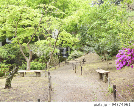 三渓園 94374961