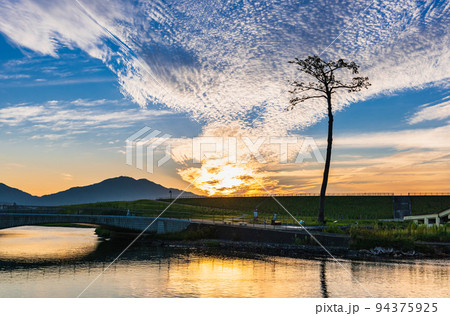 陸前高田 奇跡の一本松 朝景 陸前高田 奇跡の一本松 朝景 94375925