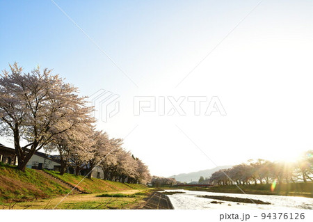 斉内川沿いの桜並木(秋田県) 斉内川沿いの桜並木(秋田県) 94376126