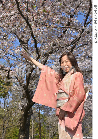 桜と和服女性 94376469