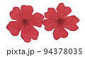赤い押し花 94378035