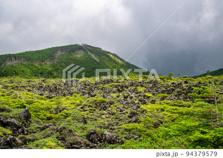 北八ヶ岳・坪庭自然園の溶岩台地と山並み 北八ヶ岳・坪庭自然園の溶岩台地と山並み 94379579