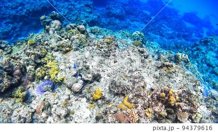 沖縄　阿嘉島のニシハマビーチ　水中撮影 94379616