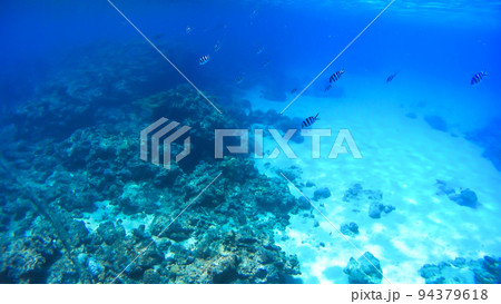 沖縄　阿嘉島のニシハマビーチ　水中撮影 94379618