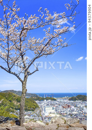 城山の桜と佐伯市街地眺望 城山の桜と佐伯市街地眺望 94379904
