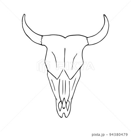 Vector hand drawn doodle sketch cow bull skull 94380479