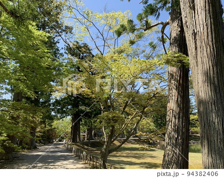 平泉の毛越寺 94382406