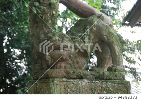揖夜神社の狛犬(阿形像)（島根県松江市東出雲町揖屋） 94383373