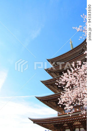 名古屋市、覚王山日泰寺五重塔と桜の風景 94383690