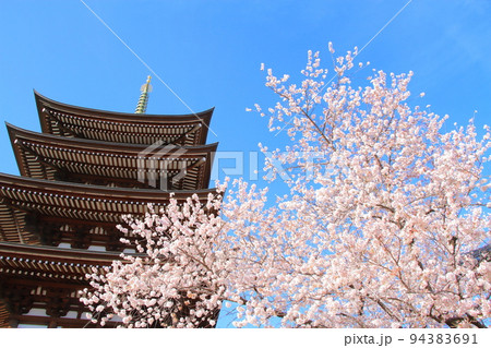 名古屋市、覚王山日泰寺五重塔と桜の風景 94383691