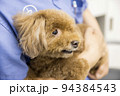 棒物病院で犬を抱く女性獣医師 94384543