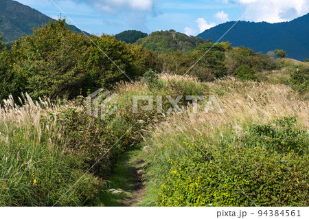 岡山県の鬼女台展望台のススキ野原 岡山県の鬼女台展望台のススキ野原 94384561