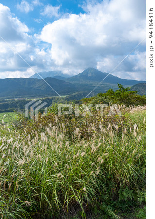 岡山県の鬼女台展望台から見た大山と烏ヶ山とススキ 94384816