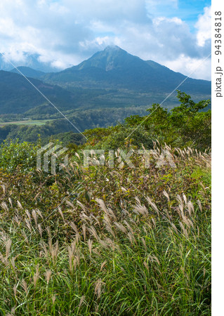 岡山県の鬼女台展望台から見た烏ヶ山とススキ 岡山県の鬼女台展望台から見た烏ヶ山とススキ 94384818