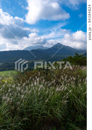 岡山県の鬼女台展望台から見た大山と烏ヶ山とススキ 94384824