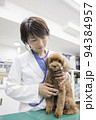 動物病院で小型犬を診察する女性獣医 94384957