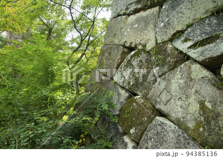 丹波亀山城 94385136