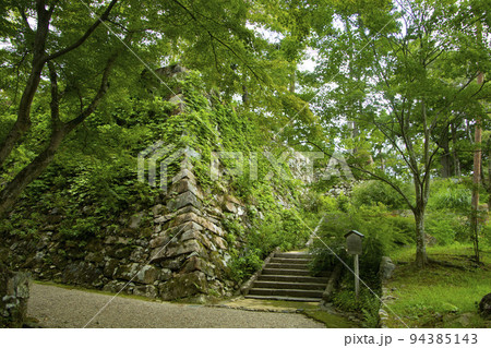 丹波亀山城 94385143