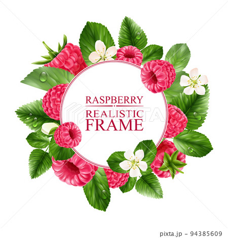 Raspberry Realistic Round Frame Raspberry Realistic Round Frame 94385609
