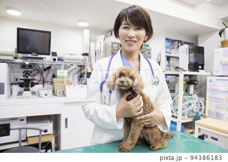 動物病院で犬を抱く女性獣医師 94386183