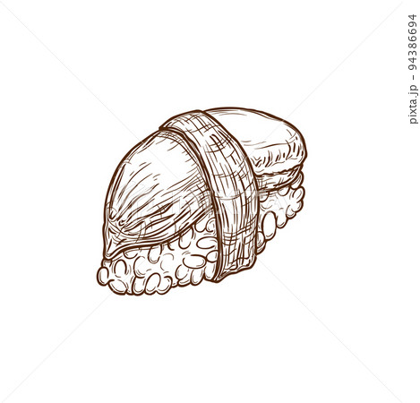 Sushi nigiri with fish, seafood, Japanese cuisine food, nigirizushi on rice in nori seaweed, vector sketch. Nigiri sushi or nigirizushi unagi eel, tako squid or tamago egg and hokkigai clam, bar menu Sushi nigiri with fish, seafood, Japanese cuisine food, nigirizushi on rice in nori seaweed, vector sketch. Nigiri sushi or nigirizushi unagi eel, tako squid or tamago egg and hokkigai clam, bar menu 94386694