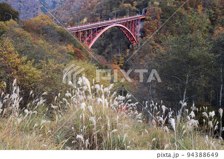 秩父滝川渓谷の紅葉 秩父滝川渓谷の紅葉 94388649