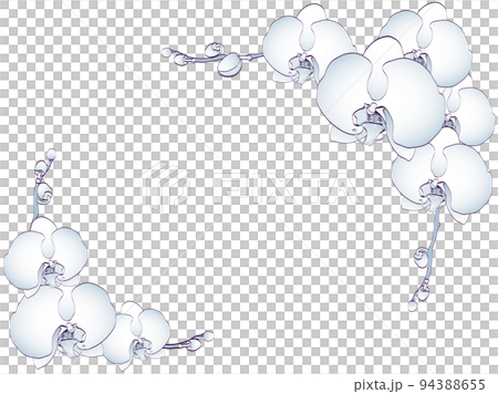 胡蝶蘭・ブルー・フレーム 胡蝶蘭・ブルー・フレーム 94388655