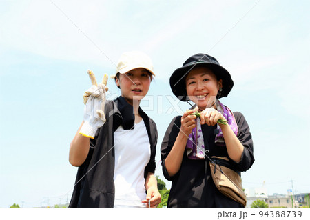 家庭菜園の姉妹 家庭菜園の姉妹 94388739