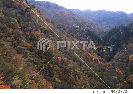 秩父滝川渓谷の紅葉 秩父滝川渓谷の紅葉 94388780