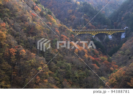 秩父滝川渓谷の紅葉 秩父滝川渓谷の紅葉 94388781