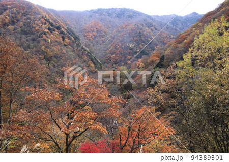 秩父滝川渓谷の紅葉 秩父滝川渓谷の紅葉 94389301