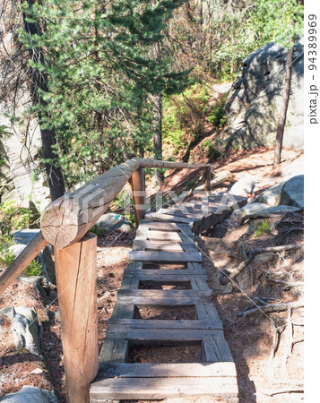 Wooden ladder on trail in Mount Ostas reserve in Table Mountains, Wooden ladder on trail in Mount Ostas reserve in Table Mountains, 94389969