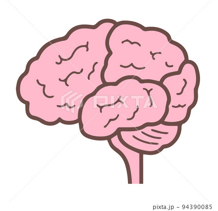 横から見た脳　側面図　中枢神経　脳みそ 94390085