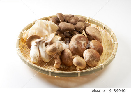 きのこ 白背景イメージ きのこ 白背景イメージ 94390404