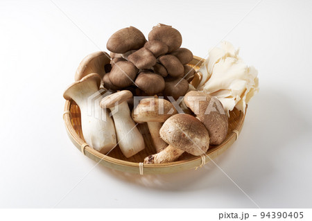 きのこ 白背景イメージ きのこ 白背景イメージ 94390405