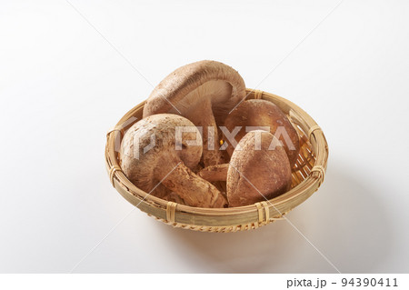 きのこ 白背景イメージ きのこ 白背景イメージ 94390411