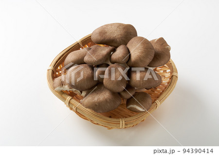 きのこ　白背景イメージ 94390414