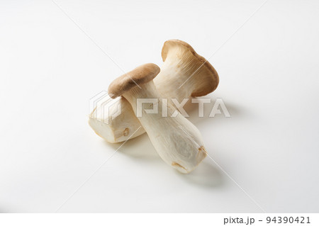 きのこ　白背景イメージ 94390421