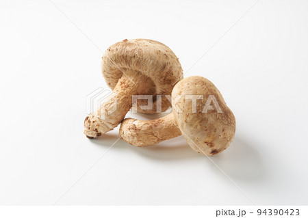 きのこ 白背景イメージ きのこ 白背景イメージ 94390423