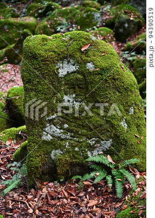 遠野物語 94390519