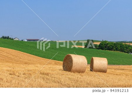 北海道_麦草ロールの転がる美瑛の風景 94391213