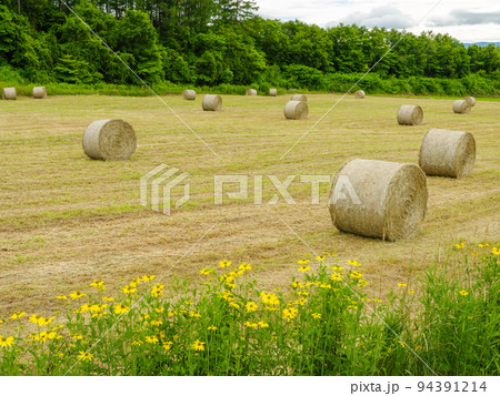 北海道_麦草ロールの転がる美瑛の風景 94391214