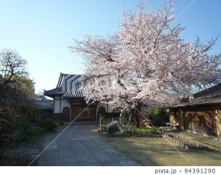 光源寺　　（東京都文京区） 94391290