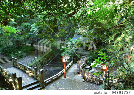 世田谷・等々力渓谷の不動の瀧 世田谷・等々力渓谷の不動の瀧 94391757