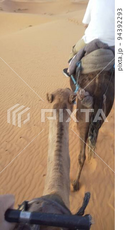 【モロッコ　メルズーカ】早朝のサハラ砂漠　2019年9月に撮影 94392293