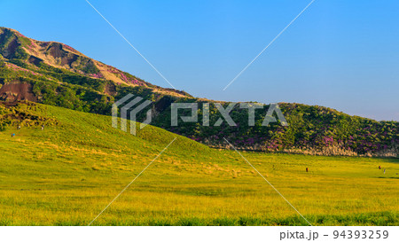 ミヤマキリシマ花が咲く季節　草千里ヶ浜　「阿蘇草千里ヶ浜」パノラマ撮影 94393259