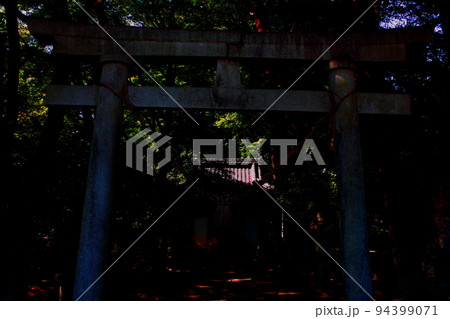 昼下がりの千本松神社の鳥居 94399071