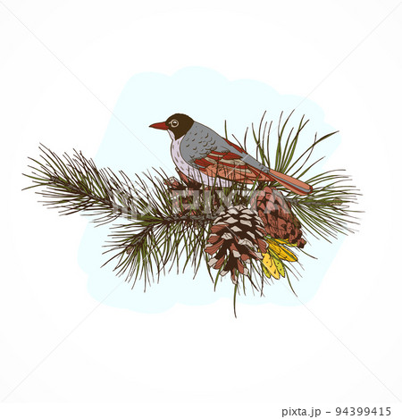 Pine branches with bird 94399415